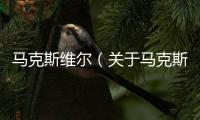 馬克斯維爾（關于馬克斯維爾的基本情況說明介紹）