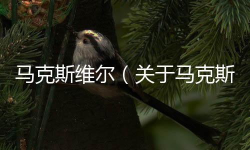 馬克斯維爾（關于馬克斯維爾的基本情況說明介紹）
