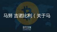 馬努 吉諾比利（關(guān)于馬努 吉諾比利的基本情況說明介紹）
