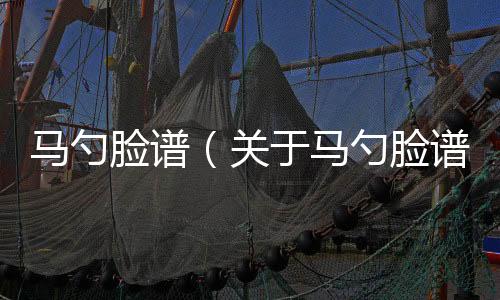 馬勺臉譜（關于馬勺臉譜的基本情況說明介紹）