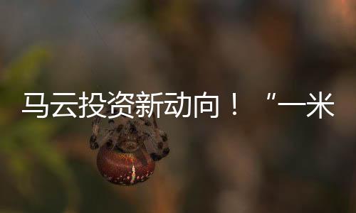 馬云投資新動向！“一米八科技”成立，巨頭涌向智慧農(nóng)業(yè) ？
