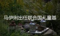 馬伊琍出任聯(lián)合國兒童基金會大使【娛樂新聞】風尚中國網(wǎng)