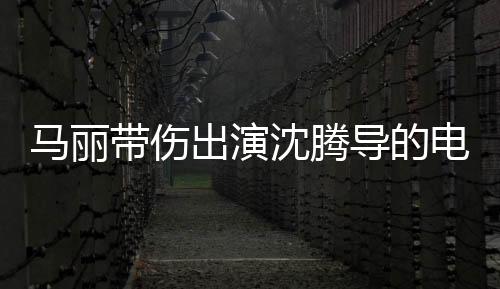 馬麗帶傷出演沈騰導的電影，沈馬組合再次合體，觀眾：太敬業了