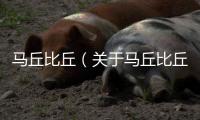 馬丘比丘（關于馬丘比丘的基本情況說明介紹）