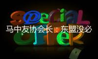 馬中友協(xié)會(huì)長：東盟沒必要任命代表外部力量的發(fā)言人