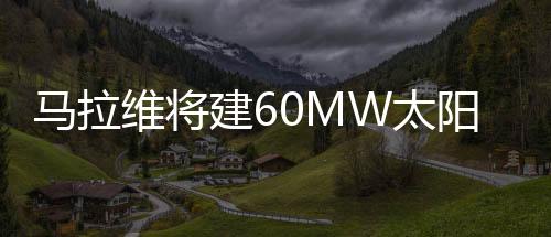 馬拉維將建60MW太陽能電廠項目,國際動態