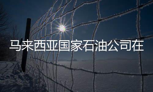 馬來西亞國家石油公司在越南發(fā)現(xiàn)石油和天然氣