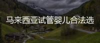 馬來西亞試管嬰兒合法選性別,孩子性別你決定,就是這么任性