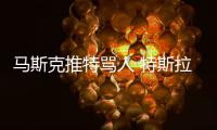 馬斯克推特罵人 特斯拉股價大跌