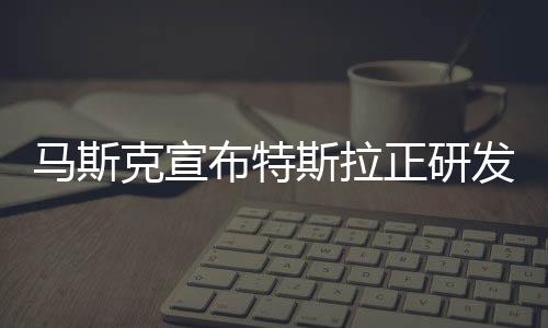 馬斯克宣布特斯拉正研發新的錳電池