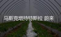馬斯克增持特斯拉 蔚來ES6由江淮代工