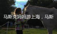 馬斯克媽媽游上海，馬斯克跟帖留言