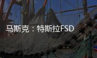 馬斯克：特斯拉FSD V.9三周后發布