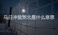 馬日沖鼠煞北是什么意思（沖鼠煞北是什么意思）