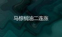 馬棕櫚油二連漲
