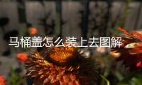 馬桶蓋怎么裝上去圖解，馬桶蓋要怎么裝