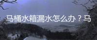 馬桶水箱漏水怎么辦？馬桶水箱漏水如何維修？