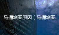 馬桶堵塞原因（馬桶堵塞）