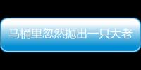 馬桶里忽然拋出一只大老鼠！嚇人不？
