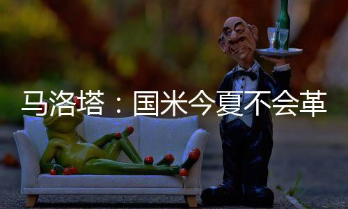 馬洛塔：國米今夏不會(huì)革命&將投資年輕人，小因扎吉的周期沒結(jié)束