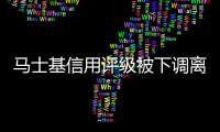 馬士基信用評級被下調離垃圾級別只有一步之遙?