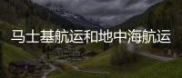 馬士基航運(yùn)和地中海航運(yùn)兩艘船相繼遭遇意外