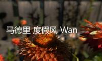 馬德里 度假風(fēng) Wanda Cafe Optimista / Parolio（組圖）