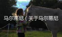 馬爾蒂尼（關于馬爾蒂尼的基本情況說明介紹）