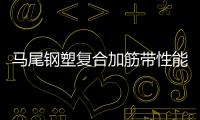 馬尾鋼塑復(fù)合加筋帶性能
