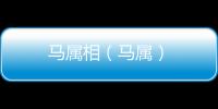 馬屬相（馬屬）