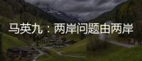 馬英九：兩岸問題由兩岸自己談 不可能、也不應該假手他人