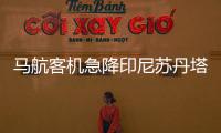 馬航客機(jī)急降印尼蘇丹塔哈機(jī)場執(zhí)行總經(jīng)理這樣表示