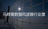 馬蜂窩數據風波曝行業潛規則 三年內沖擊美股或生變