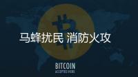 馬蜂擾民 消防火攻