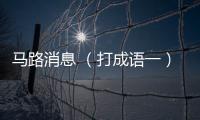 馬路消息 （打成語一）