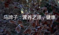 馬蹄子：營養(yǎng)之源，健康生活的秘密！