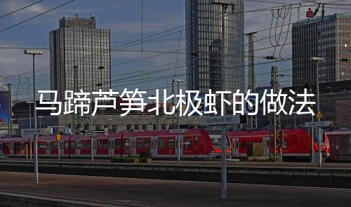 馬蹄蘆筍北極蝦的做法
