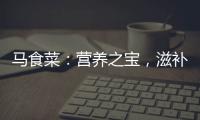 馬食菜：營養之寶，滋補強身的秘密武器！