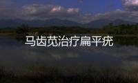 馬齒莧治療扁平疣