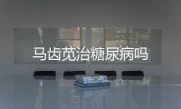 馬齒莧治糖尿病嗎