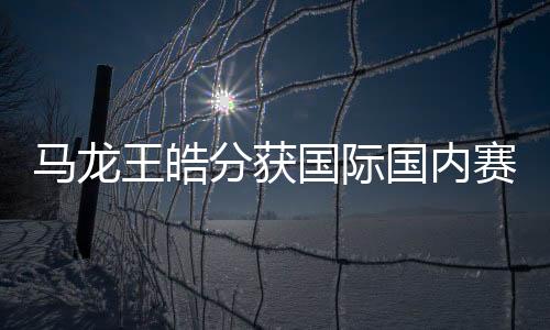 馬龍王皓分獲國際國內賽事總冠軍 捧得20萬真金球拍