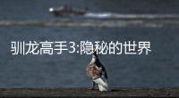 馴龍高手3:隱秘的世界 國語（馴龍高手3 隱秘的世界評(píng)價(jià)）