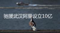 馳援武漢阿里設(shè)立10億元醫(yī)療物資供給專項基金