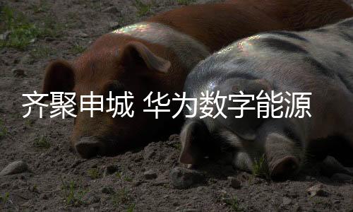 齊聚申城 華為數字能源領航產業伙伴迎接全面超充新時代