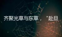 齊聚光草與東草，“赴旦”2024百團大戰帷幕拉開