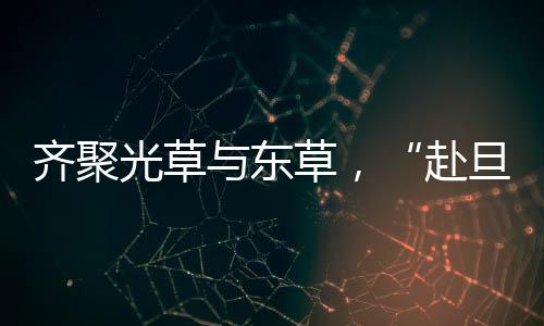 齊聚光草與東草，“赴旦”2024百團大戰(zhàn)帷幕拉開