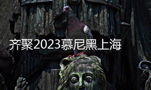 齊聚2023慕尼黑上海電子展，芯片大咖共話2023半導體機遇與挑戰