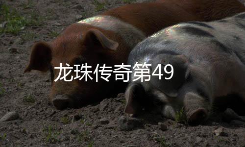 龍珠傳奇第49