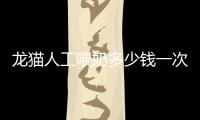 龍貓人工喂奶多少錢一次(龍貓人工喂奶多少天)
