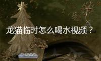 龍貓臨時(shí)怎么喝水視頻？怎么讓龍貓多喝水
